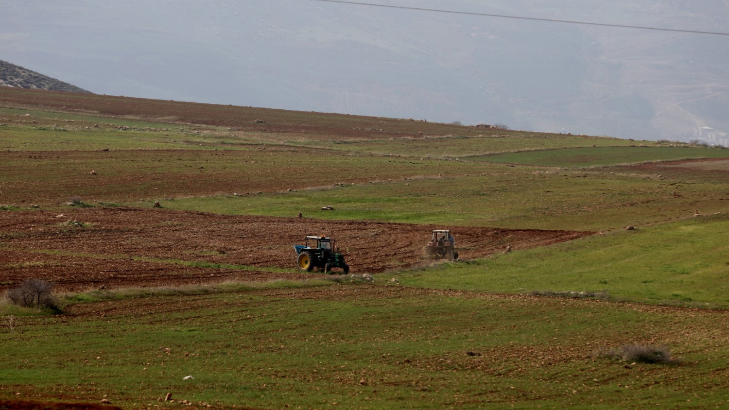 تحديات مربي الأغنام في الأغوار: ارتفاع التكاليف وتقليص المساحات الرعوية