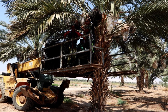 اقتصاد الظل يبتلع حقوق العاملات: سياسات قاصرة واستغلال ممنهج في القطاع غير الرسمي