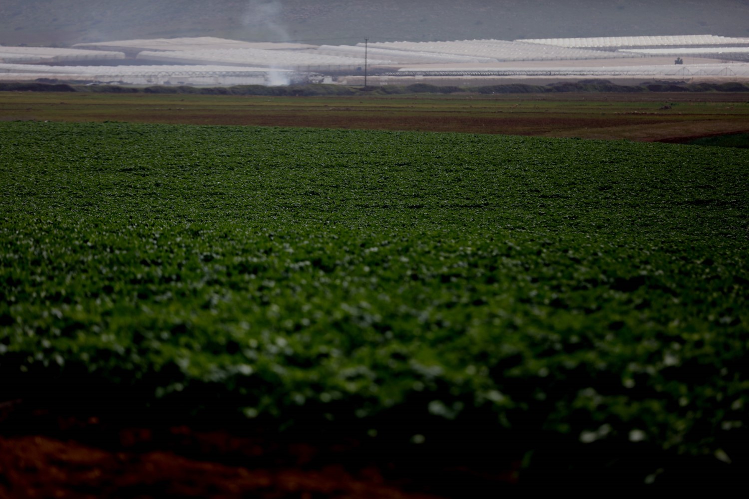 شح المياه.. قلق مزارعي طمون الدائم قبل كل صيف